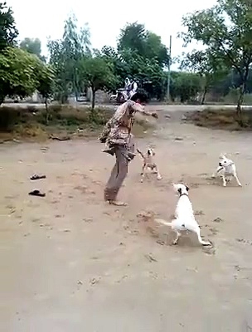 funny pakistani