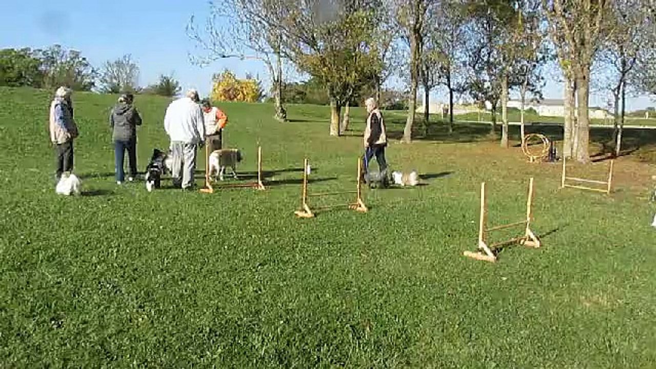 Test 1