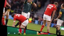 Wales suffer Rugby World Cup quarter final heartbreak against South Africa