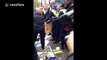 Footage of violent scenes at student protest, London