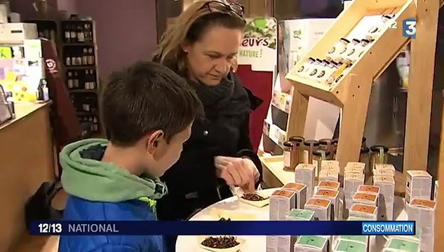 Alimentation de demain : l'Union européenne encourage à manger des insectes