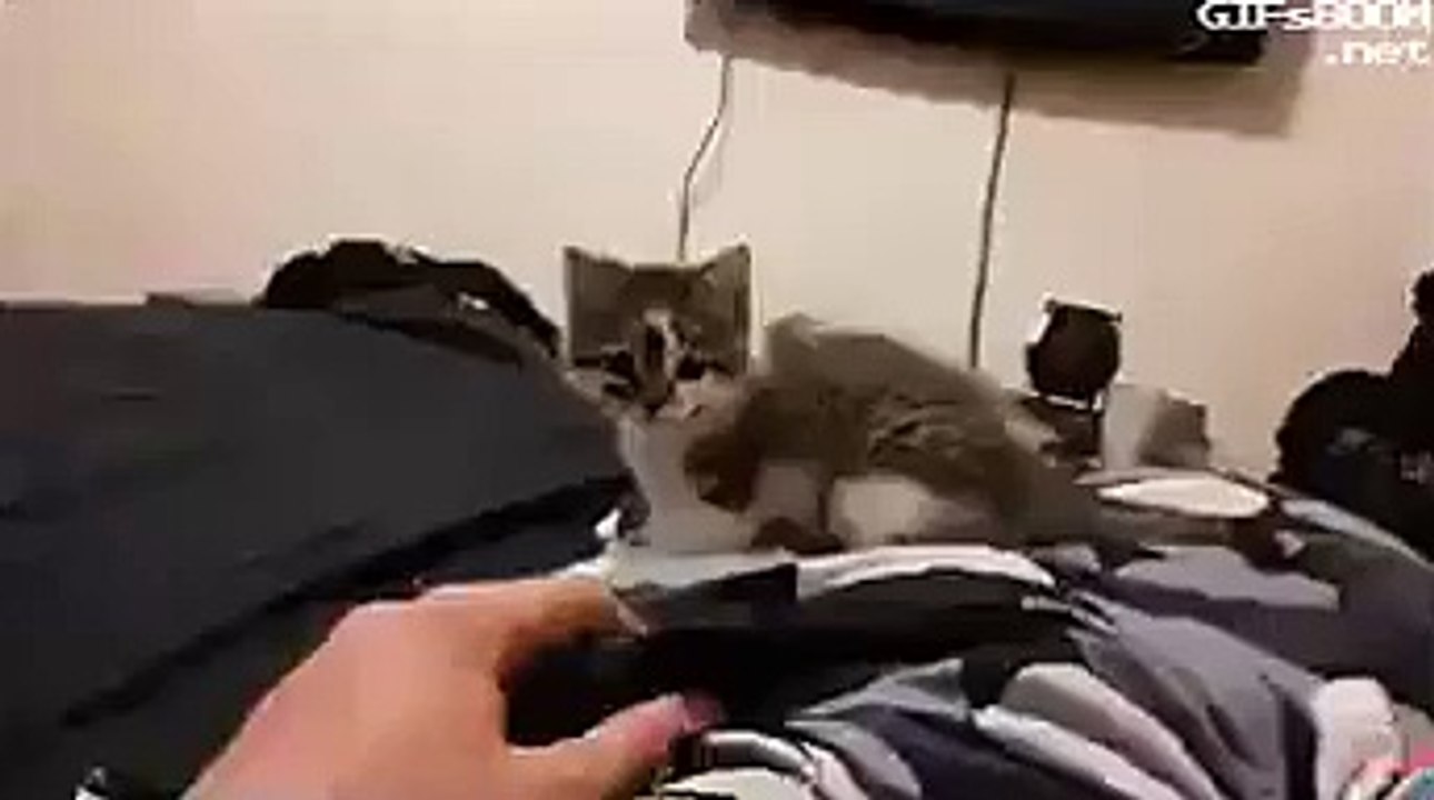 Personne ne résiste à la force du Jedi