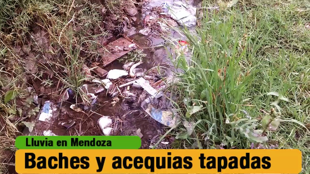 Informe Lluvia en Mendoza