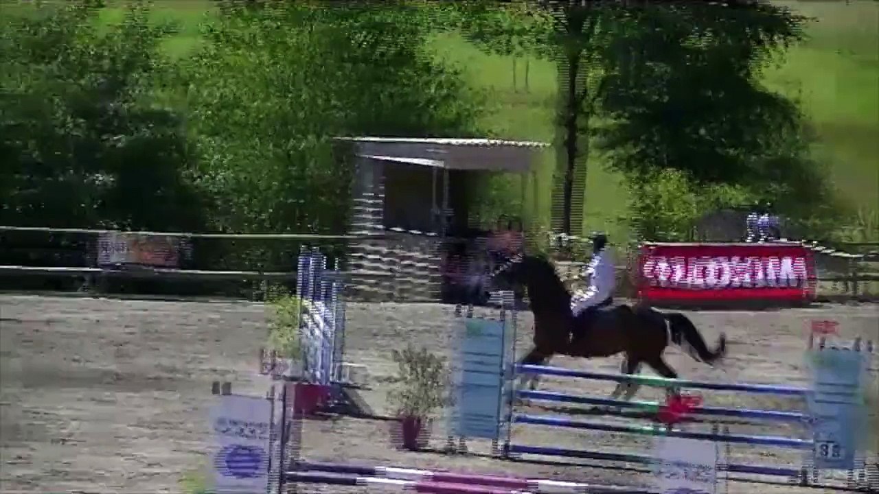 Virgile PREPA 120 KERNASCELDEN 2015