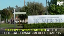 Stabbing Attack Rocks UC-Merced Campus
