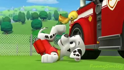 Paw Patrol English Pup Pup Goose Pup Pup and Away part 9 brief episode