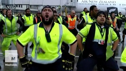 New Zealand airport crew performs haka dance for Rugby World Cup winners