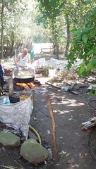 Şeker Kamışı Pekmezi