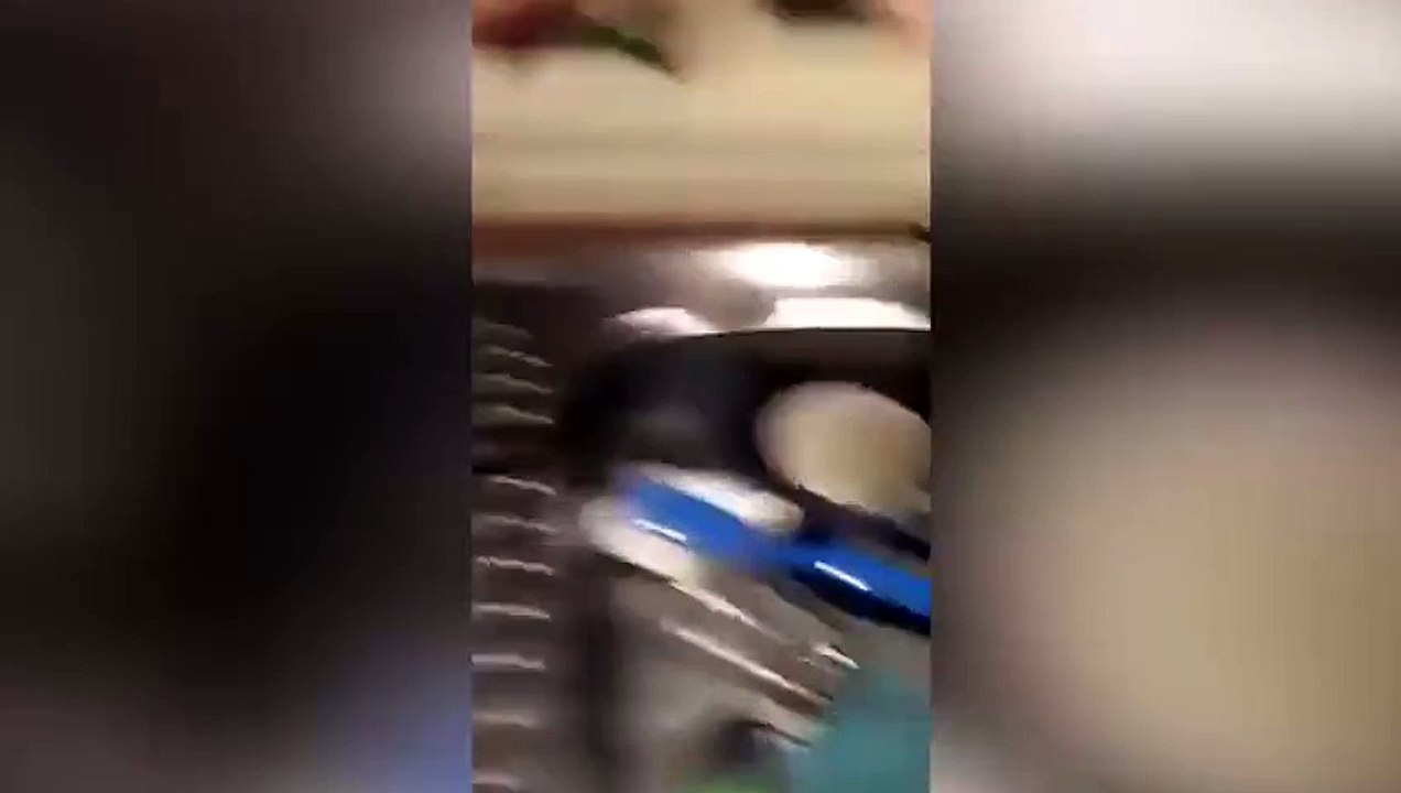 Home Invasion Robbery  Possum Steals Food