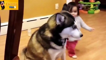 Пёс в шоке)))