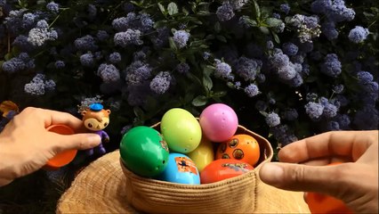 Octonauts octonautas jouets oeufs surprise
