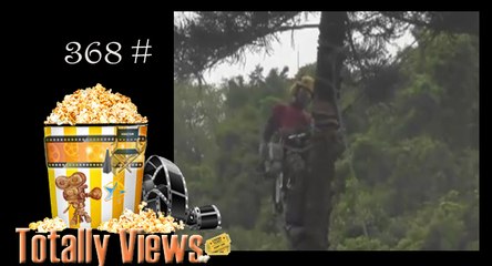 Guy Screams For His Life After He Almost Gets Killed Cutting A Tree