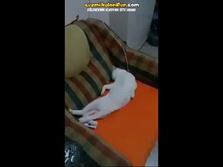 Kalk La İşe Gidicem Kalk