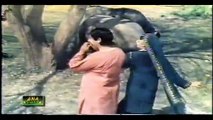 Sun Wanjli Di - Noor jehan , Heer Ranjha - Video Dailymotion