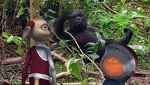 GORILLA: Animals for children. Kids videos. Kindergarten | Preschool learning