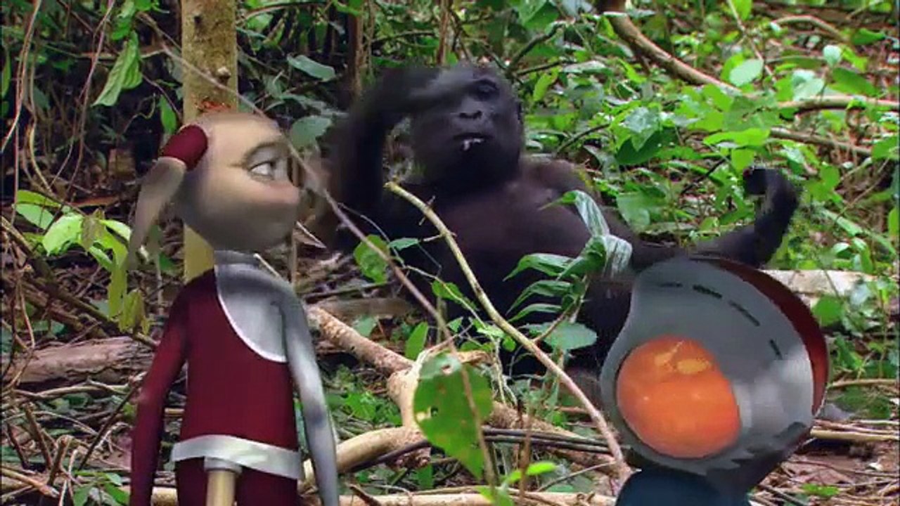 GORILLA: Animals for children. Kids videos. Kindergarten | Preschool learning