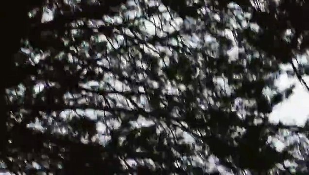 Lykke Li - I Follow Rivers