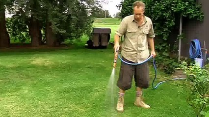 Common Lawn Problems Solutions Video Guidance Queensland