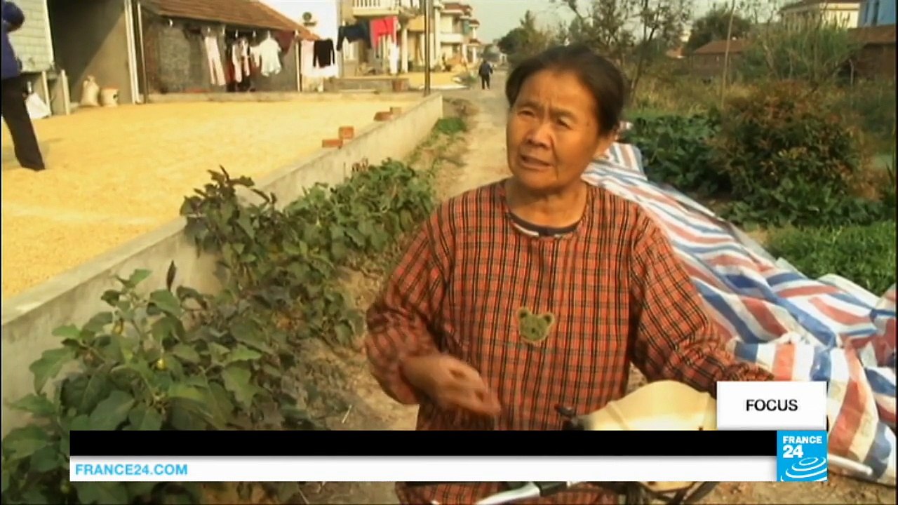 China's one-child policy leaves legacy of 'empty nests' and 'ghost children'