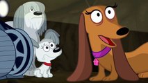 Pound Puppies - Stay Focused