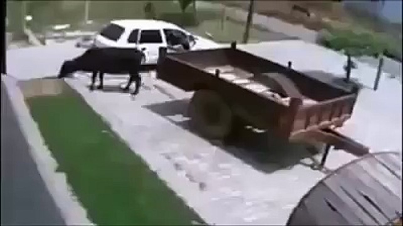 !!!!!!!!!!!!