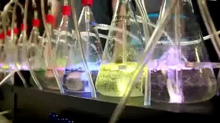 Pac Man Fail - Komik videolar - Funny videos