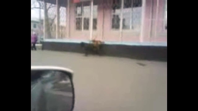 И такое бывает