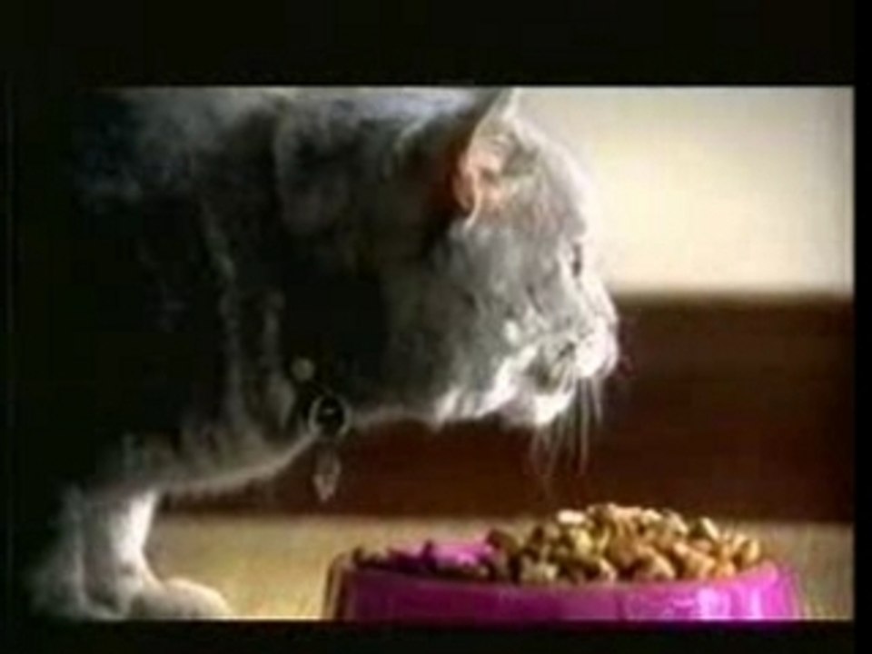 pub whiskas