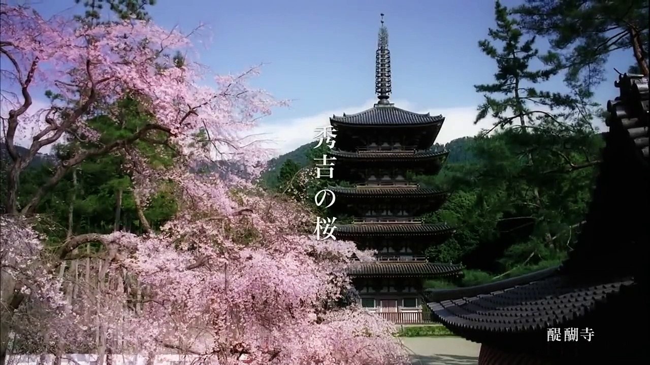 CM JR東海 そうだ 京都、行こう。「2015桜」