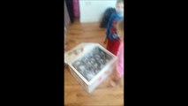 Elle commande une table sur eBay et reçoit 40 sacs pleins de poissons vivants!