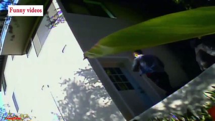 Funny videos Funny Fails Funny vines Synthetic humorous situations 2015