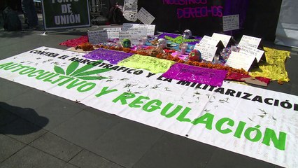 Corte mexicana autoriza uso recreativo de maconha para ativistas