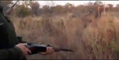 Funny Videos Hunter Attacked By Leopard _ Funny Videos 2015