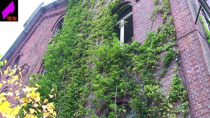 Spookhuis staat leeg! Leeg ? nee dat ook niet !