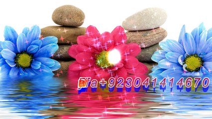 Teri Mohabbat Na dil Me Mukam_kumar saun Alka Yagnik