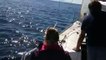 Un voilier secourt un labrador perdu en mer