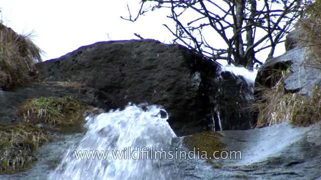 Waterfall on the way to Taktsang monastery of Bhutan