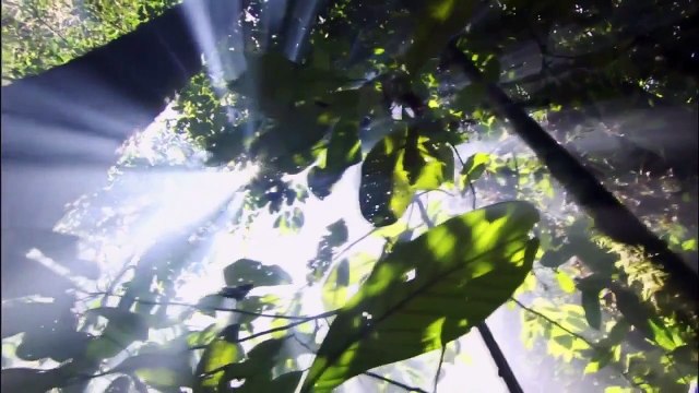 تلاوة مؤثرة مع مناظر طبيعيه جميله 2 - HD