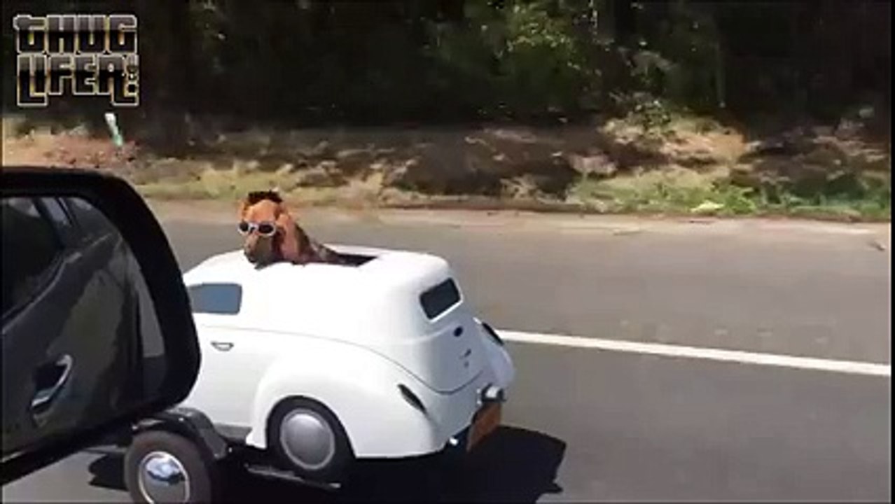 Doggy style