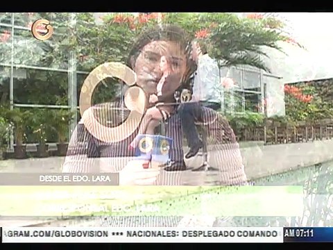 Adelanto de elecciones presidenciales se debe plantear en AN después del 6D