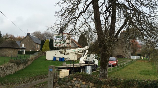 Destruction d'un nid de frelons asiatiques