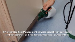 Effective Pest Control Solutions In Gregory Hills