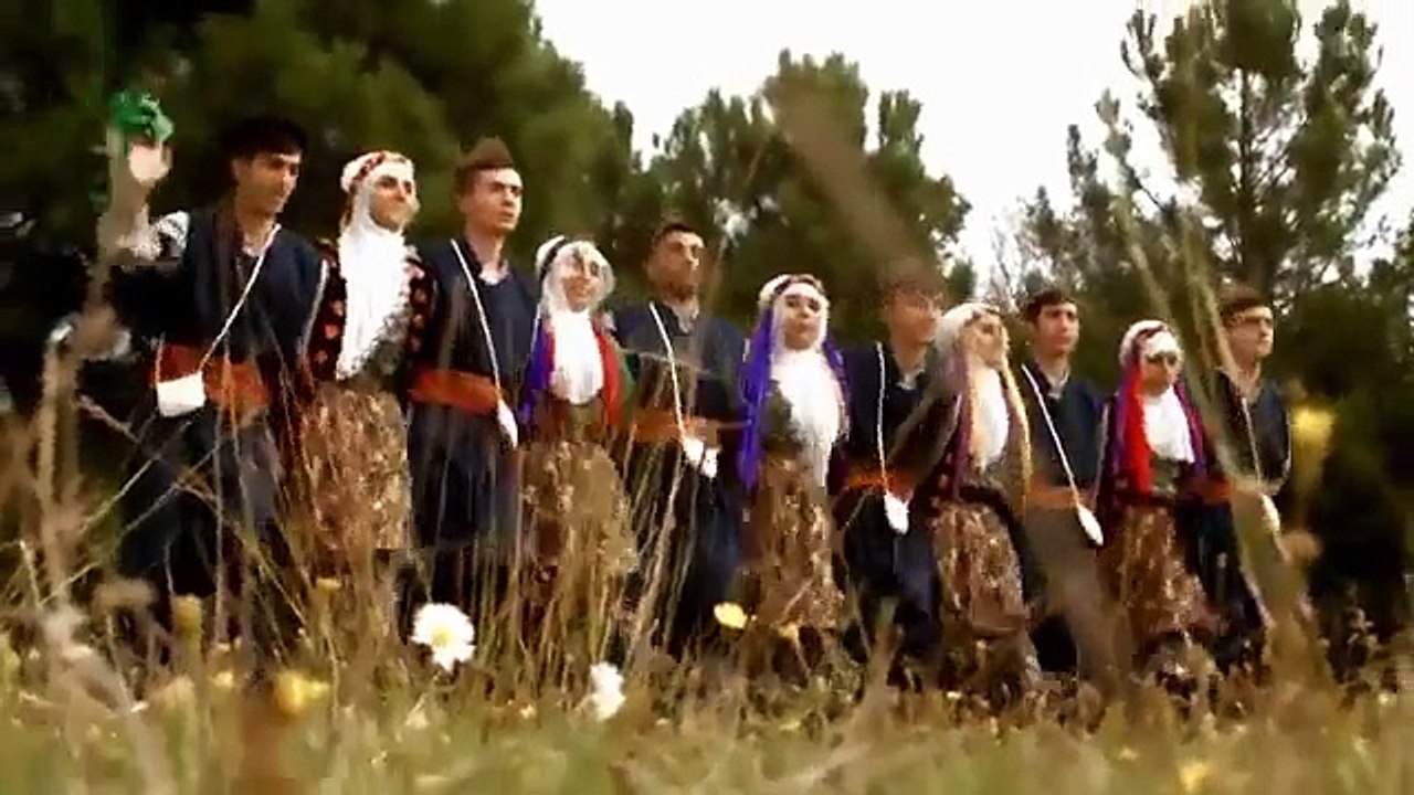 Potpori kurtce