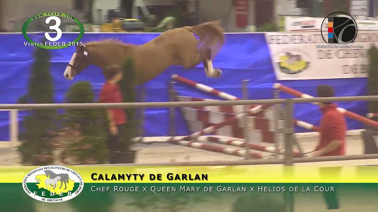 03-Calamyty de Garlan