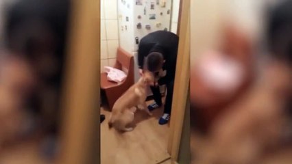 Seeing My Dog After 4 Months (He was sö happy to see me)