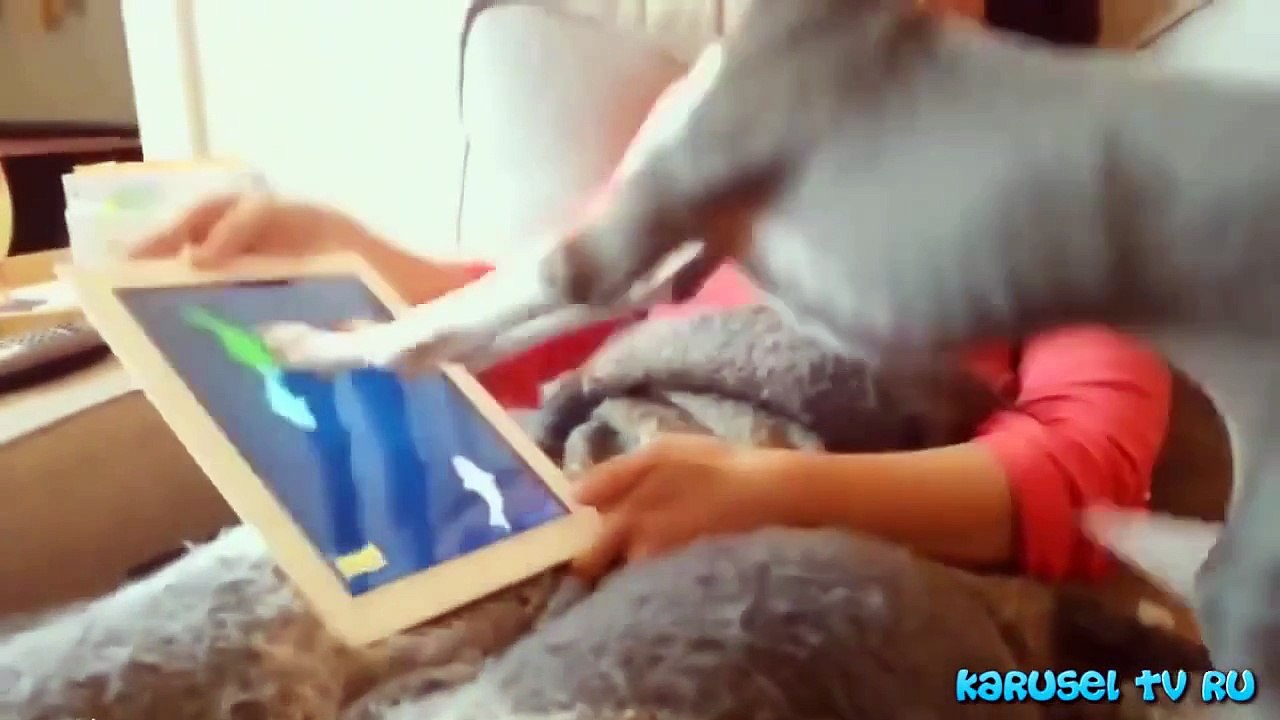 ПРИКОЛЫ 2015 Рука дрочера