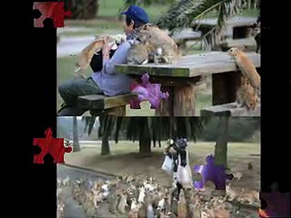 12 most unbelievable photos of all time!