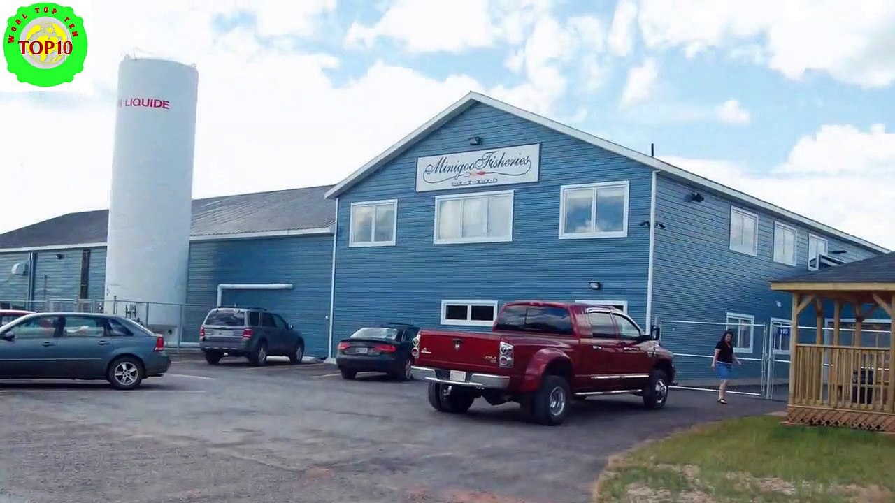 10 amazing islands, you must visit in Canada