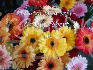 Ha utól ér a szél