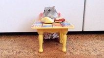 Tiny Hamster Eating Tiny Food